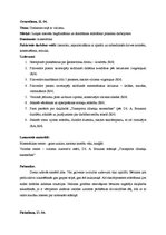 Prakses atskaite 'Kvalifikācijas prakse pirmsskolā', 22.