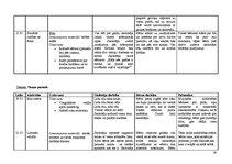 Prakses atskaite 'Aktīvā mācību un audzināšanas prakse pirmsskolā', 19.