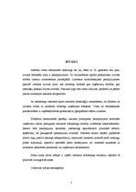 Referāts 'Interneta mārketings', 3.