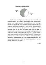 Referāts 'Interneta mārketings', 5.