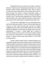 Referāts 'Interneta mārketings', 9.