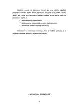 Referāts 'Interneta mārketings', 14.