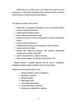 Referāts 'Interneta mārketings', 17.