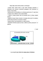 Referāts 'Interneta mārketings', 18.