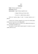 Referāts 'Farmācijas rūpniecība Latvijā', 2.