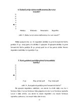 Referāts 'Farmācijas rūpniecība Latvijā', 17.