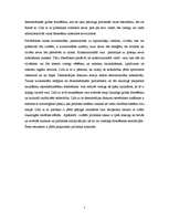 Referāts 'Demokrātijas modeļi', 5.