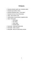 Referāts 'Kampanella un "Saules pilsēta"', 8.