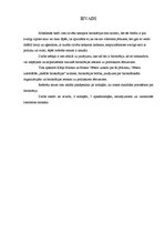 Referāts 'Birokrātija', 3.