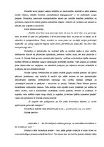 Referāts 'Birokrātija', 6.