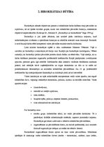 Referāts 'Birokrātija', 10.