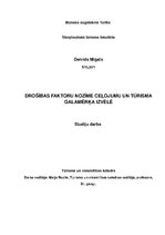 Referāts 'Drošības faktoru nozīme ceļojumu un tūrisma galamērķa izvēlē', 1.