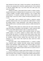 Referāts 'Drošības faktoru nozīme ceļojumu un tūrisma galamērķa izvēlē', 8.