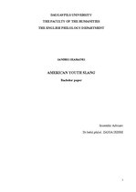 Diplomdarbs 'American Youth Slang', 1.