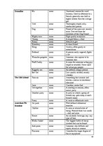 Diplomdarbs 'American Youth Slang', 69.