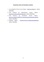 Referāts 'Konsulāro un diplomātisko attiecību nodibināšana starp valstīm', 13.