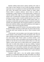 Prakses atskaite 'Krimināltiesiskās prakses atskaite', 5.