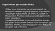 Prezentācija 'Āfrikas kontinents', 14.