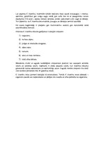 Eseja 'C vitamīns', 2.