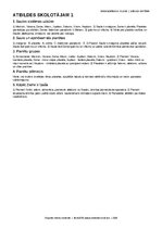 Paraugs 'Saules sistēma un planētas', 25.