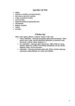 Referāts 'Agresija cilvēku un dzīvnieku pasaulē', 8.