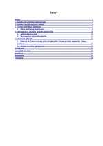 Biznesa plāns 'Nepilngadīgo likumpārkāpumi un sabiedrības attieksme pret tiem', 1.