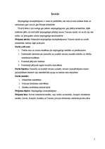 Biznesa plāns 'Nepilngadīgo likumpārkāpumi un sabiedrības attieksme pret tiem', 2.