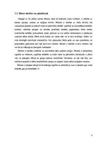 Biznesa plāns 'Nepilngadīgo likumpārkāpumi un sabiedrības attieksme pret tiem', 9.