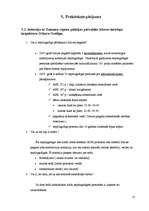 Biznesa plāns 'Nepilngadīgo likumpārkāpumi un sabiedrības attieksme pret tiem', 12.