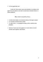 Biznesa plāns 'Nepilngadīgo likumpārkāpumi un sabiedrības attieksme pret tiem', 13.