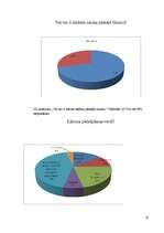 Biznesa plāns 'Nepilngadīgo likumpārkāpumi un sabiedrības attieksme pret tiem', 28.