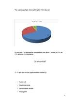 Biznesa plāns 'Nepilngadīgo likumpārkāpumi un sabiedrības attieksme pret tiem', 31.