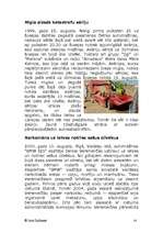 Referāts 'Sporta auto', 14.