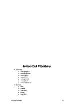 Referāts 'Sporta auto', 53.