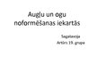 Prezentācija 'Augļu un ogu noformēšanas iekārtas', 1.