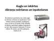 Prezentācija 'Augļu un ogu noformēšanas iekārtas', 8.