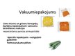 Prezentācija 'Augļu un ogu noformēšanas iekārtas', 14.