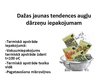 Prezentācija 'Augļu un ogu noformēšanas iekārtas', 15.