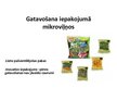 Prezentācija 'Augļu un ogu noformēšanas iekārtas', 16.
