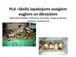 Prezentācija 'Augļu un ogu noformēšanas iekārtas', 18.