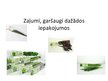 Prezentācija 'Augļu un ogu noformēšanas iekārtas', 25.