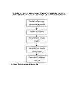 Referāts 'Darba vadīšana', 5.