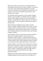 Eseja 'Policijas darbs: izaicinājumi, pieredze un profesionālā atbildība', 1.