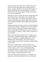 Eseja 'Policijas darbs: izaicinājumi, pieredze un profesionālā atbildība', 3.