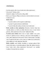 Diplomdarbs 'Child in the Novel "Alice’s Adventures in Wonderland" by Lewis Carroll', 5.