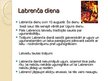 Prezentācija 'Senlatviešu tradīcijas', 7.