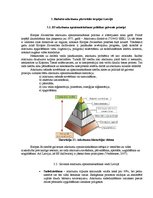Referāts 'Situācijas analīze par dabas resursu ekonomiju ātrās ēdināšanas restorānā "Hesbu', 9.