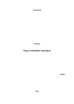 Paraugs 'Muguras stabilizējošie vingrinājumi', 1.