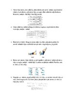 Paraugs 'Muguras stabilizējošie vingrinājumi', 3.