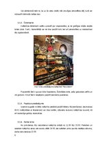 Referāts 'Mārketinga komunikācijas plāns kafejnīcai „PARUNĀSIM“', 9.